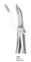  Fig. 48 lower roots 